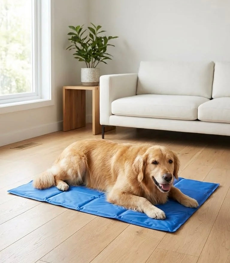 🧊✨ Manta de Gel Refrescante para Mascotas (Perros y Gatos)