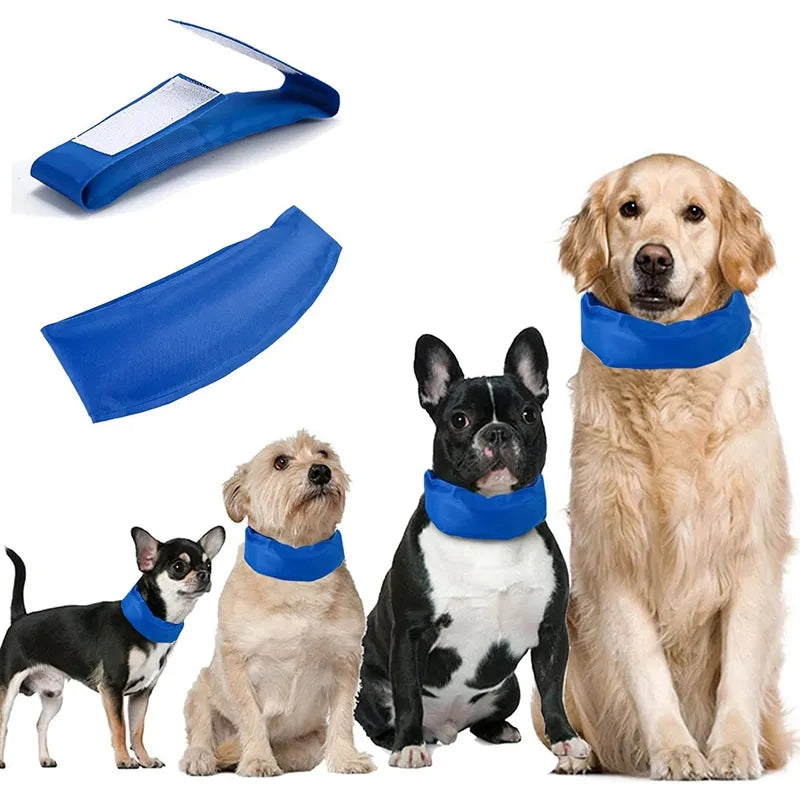 🧊🐶 Collar de Gel Refrescante para Perros – Alivio inmediato contra el calor